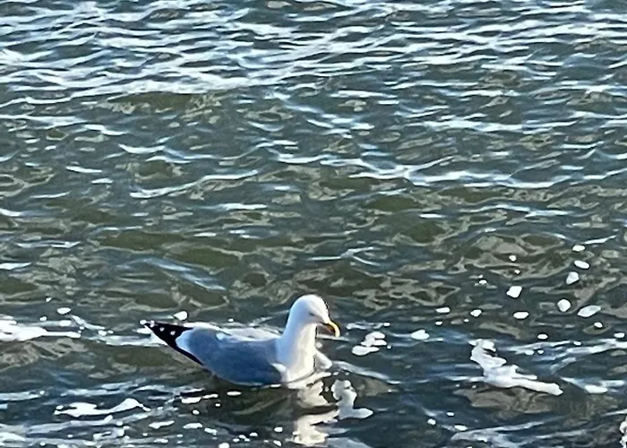 Klinkerwand73 Im Villapark Residentie Texel Holiday home