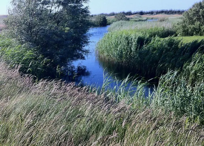 Klinkerwand73 Im Villapark Residentie Texel