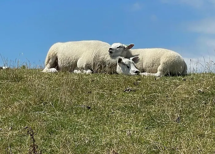 Klinkerwand73 Im Villapark Residentie Texel * De Cocksdorp (Texel)