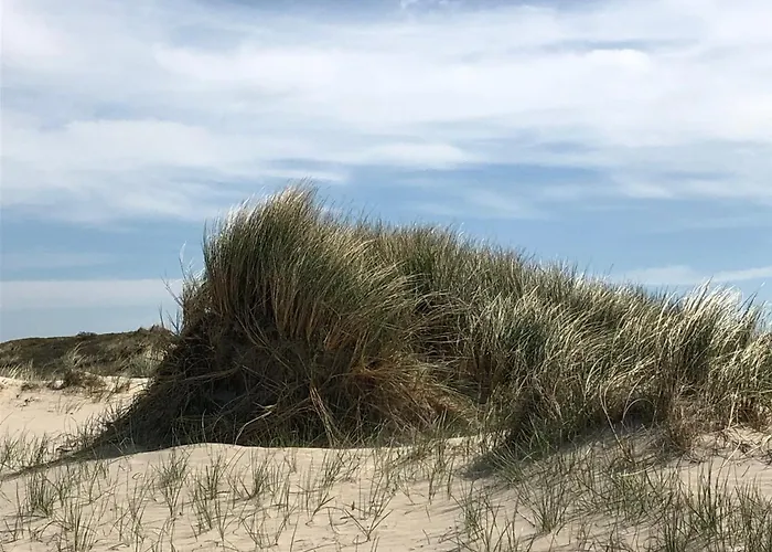 Holiday home Klinkerwand73 Im Villapark Residentie Texel