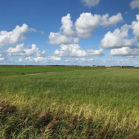 펜션 Klinkerwand73 Im Villapark Residentie Texel