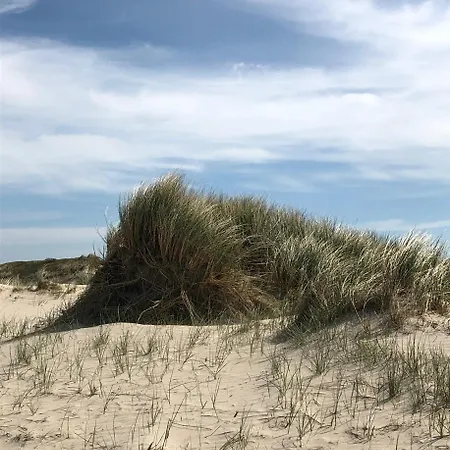 펜션 Klinkerwand73 Im Villapark Residentie Texel
